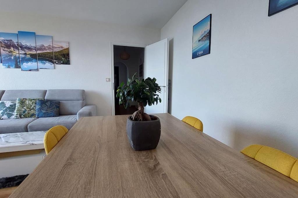Appart Cosy Avec Vue Sur Le Lac Leman Evian-les-Bains Luaran gambar