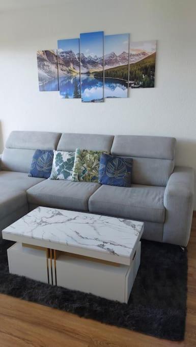 Appart Cosy Avec Vue Sur Le Lac Leman Evian-les-Bains Luaran gambar